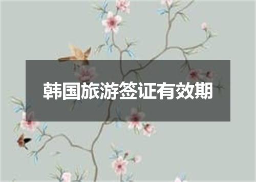 韩国旅游签证有效期