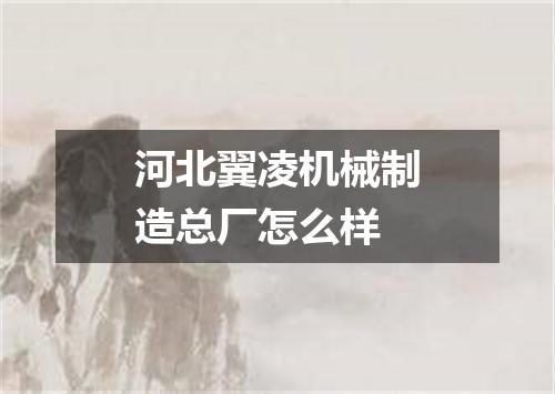 河北翼凌机械制造总厂怎么样