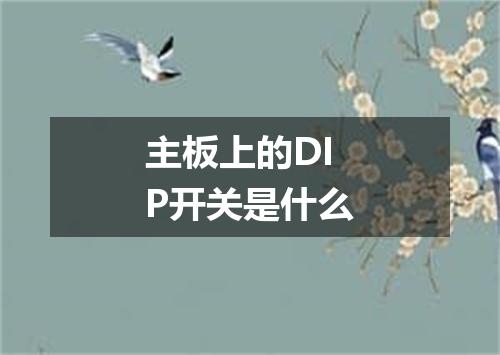 主板上的DIP开关是什么