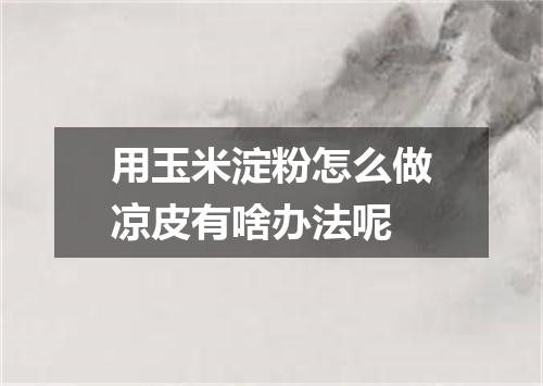 用玉米淀粉怎么做凉皮有啥办法呢