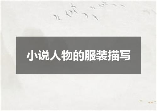 小说人物的服装描写