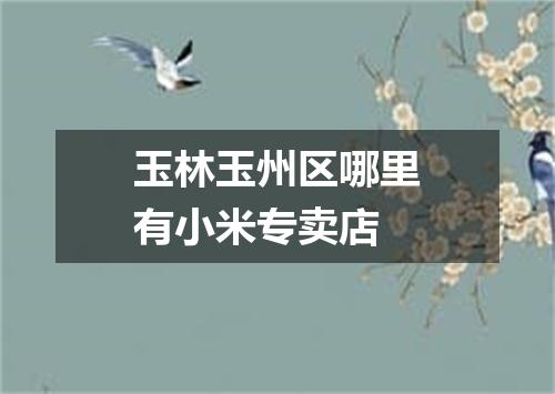 玉林玉州区哪里有小米专卖店