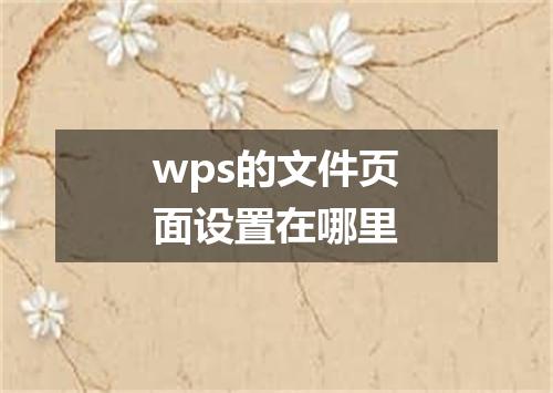 wps的文件页面设置在哪里