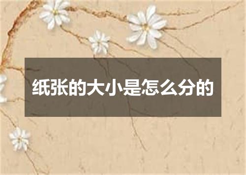 纸张的大小是怎么分的
