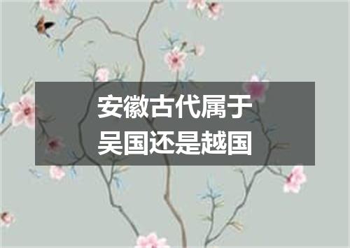 安徽古代属于吴国还是越国