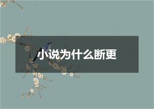 小说为什么断更