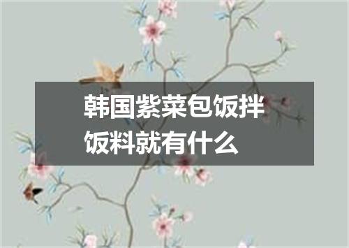 韩国紫菜包饭拌饭料就有什么