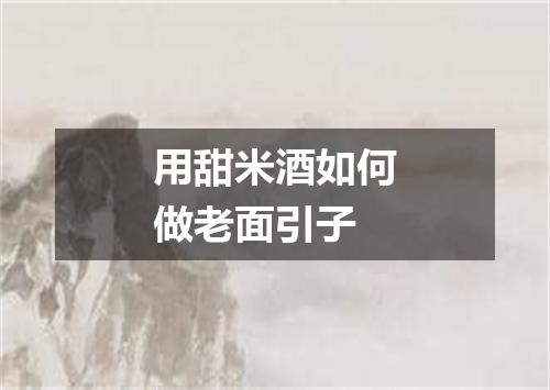 用甜米酒如何做老面引子
