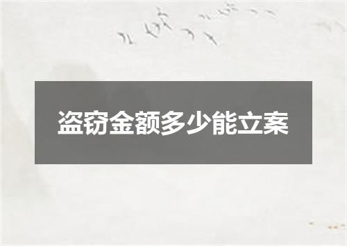 盗窃金额多少能立案