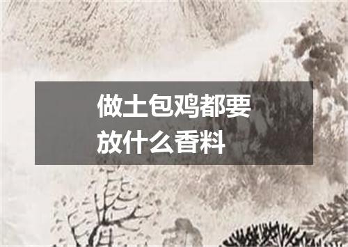 做土包鸡都要放什么香料