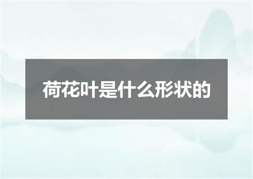 荷花叶是什么形状的