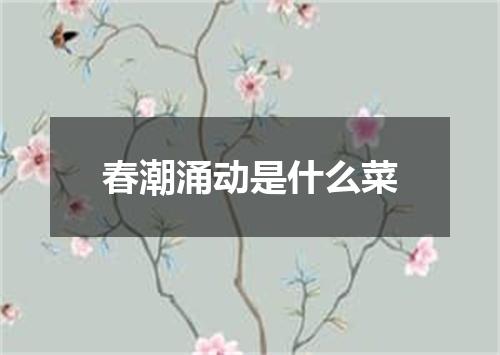 春潮涌动是什么菜