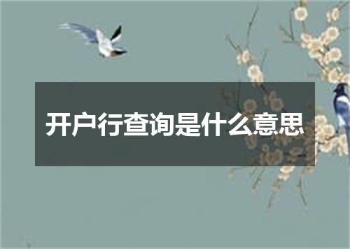 开户行查询是什么意思