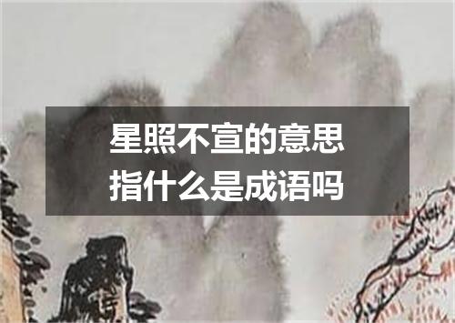 星照不宣的意思指什么是成语吗