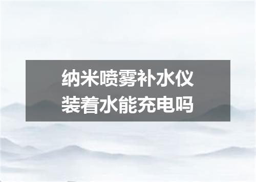 纳米喷雾补水仪装着水能充电吗