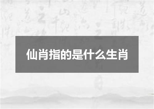 仙肖指的是什么生肖
