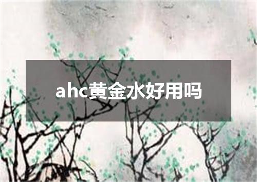 ahc黄金水好用吗