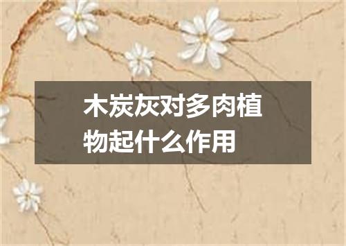 木炭灰对多肉植物起什么作用