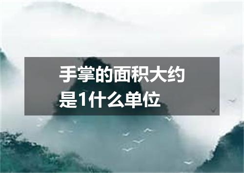 手掌的面积大约是1什么单位