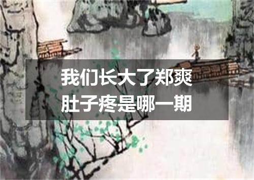 我们长大了郑爽肚子疼是哪一期