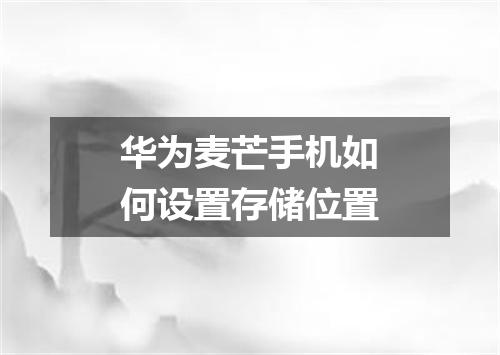 华为麦芒手机如何设置存储位置