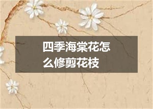四季海棠花怎么修剪花枝