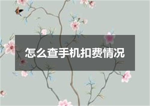 怎么查手机扣费情况