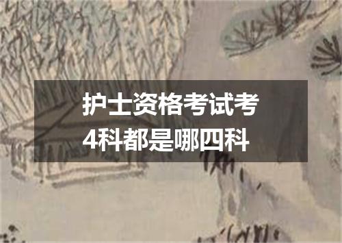 护士资格考试考4科都是哪四科