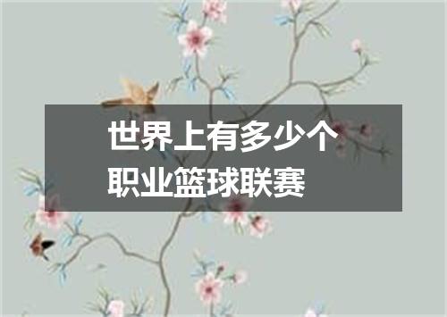 世界上有多少个职业篮球联赛