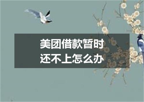 美团借款暂时还不上怎么办