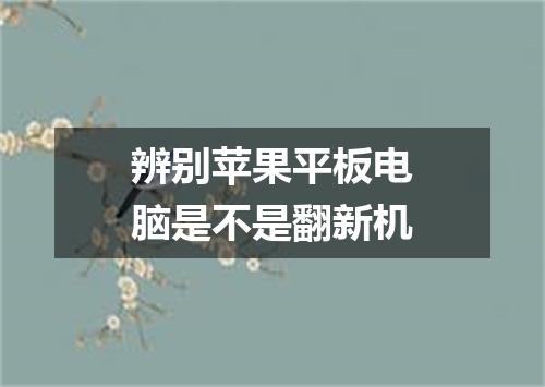 辨别苹果平板电脑是不是翻新机