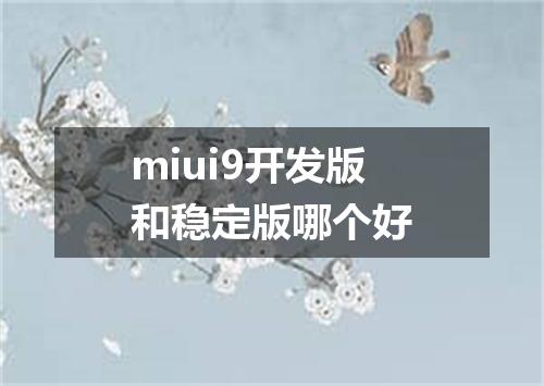 miui9开发版和稳定版哪个好