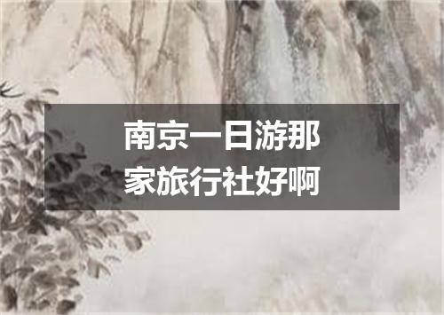 南京一日游那家旅行社好啊