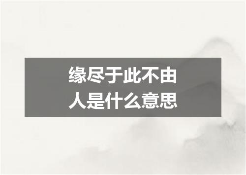 缘尽于此不由人是什么意思