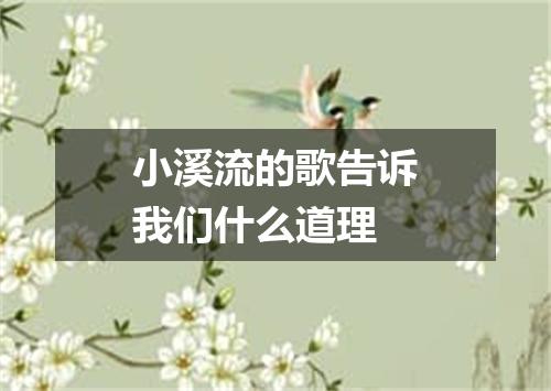 小溪流的歌告诉我们什么道理