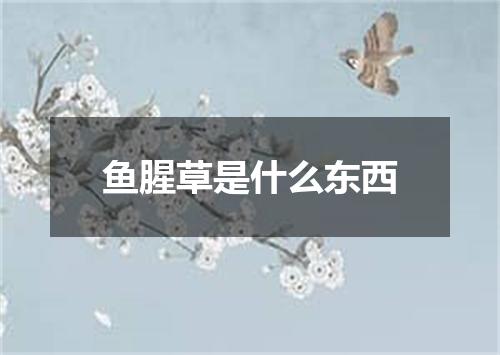 鱼腥草是什么东西