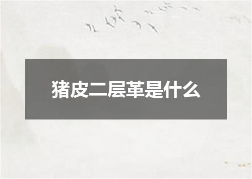 猪皮二层革是什么