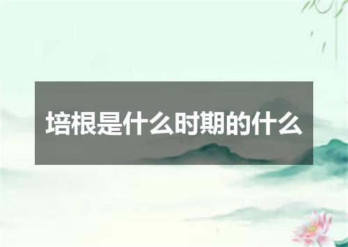 培根是什么时期的什么