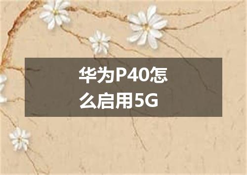 华为P40怎么启用5G