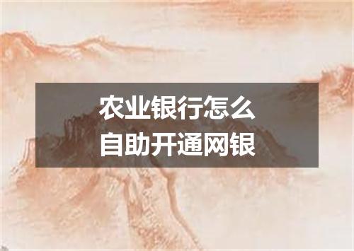 农业银行怎么自助开通网银