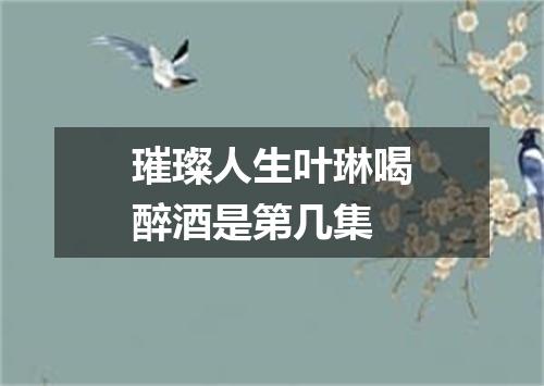 璀璨人生叶琳喝醉酒是第几集