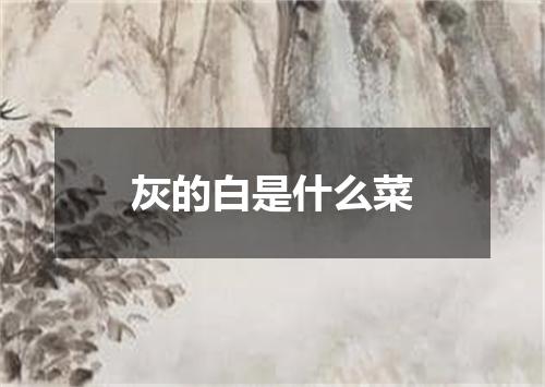 灰的白是什么菜