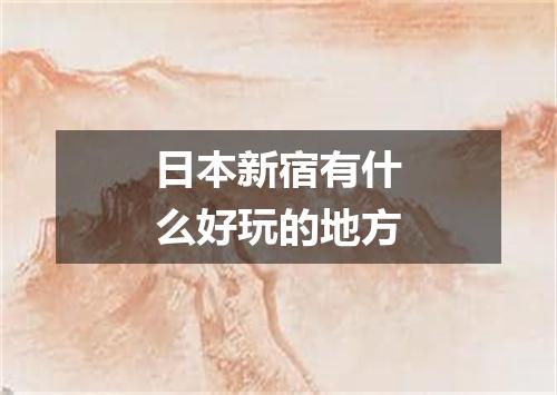 日本新宿有什么好玩的地方