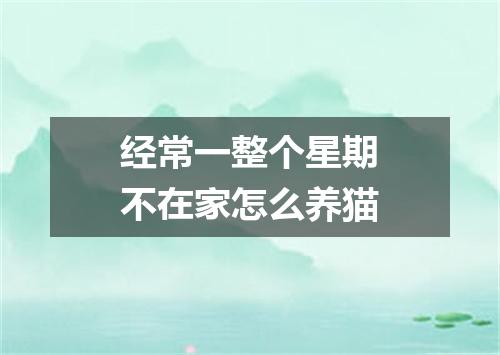 经常一整个星期不在家怎么养猫