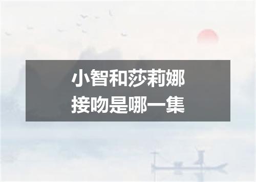 小智和莎莉娜接吻是哪一集