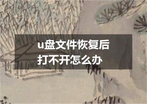 u盘文件恢复后打不开怎么办