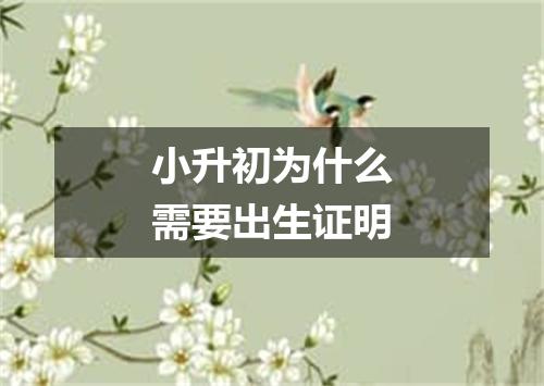 小升初为什么需要出生证明