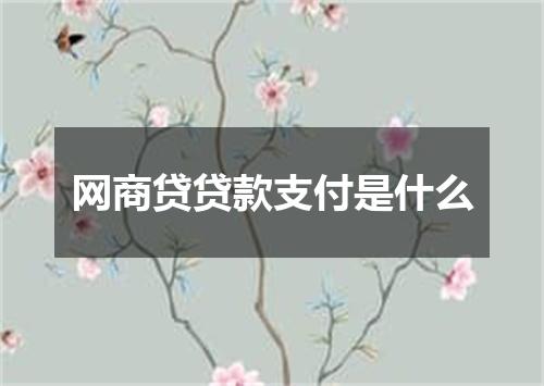 网商贷贷款支付是什么