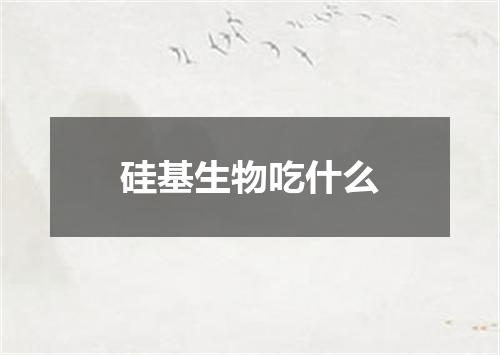 硅基生物吃什么