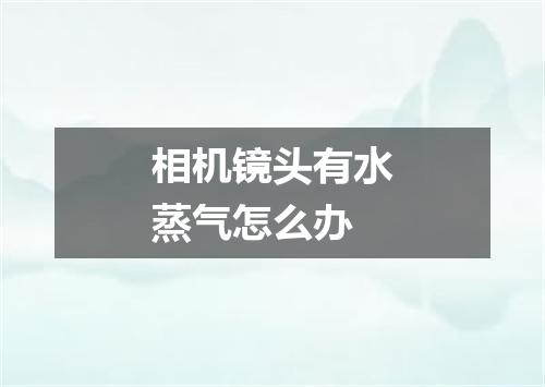 相机镜头有水蒸气怎么办